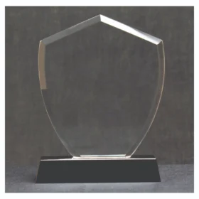 Premium Shield Cut Acrylic Trophy ACR1103